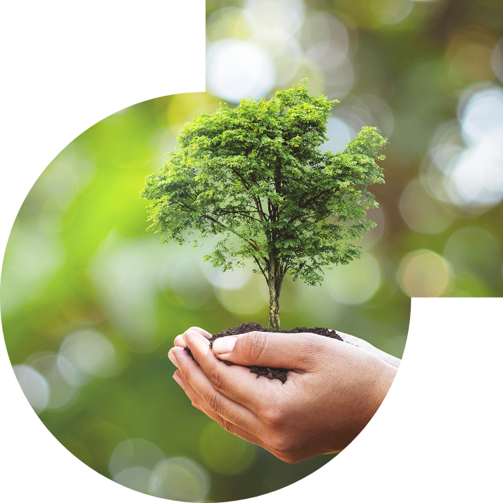 关怀人类、文化、环境与社会